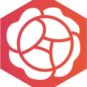 flower-nyolcszog